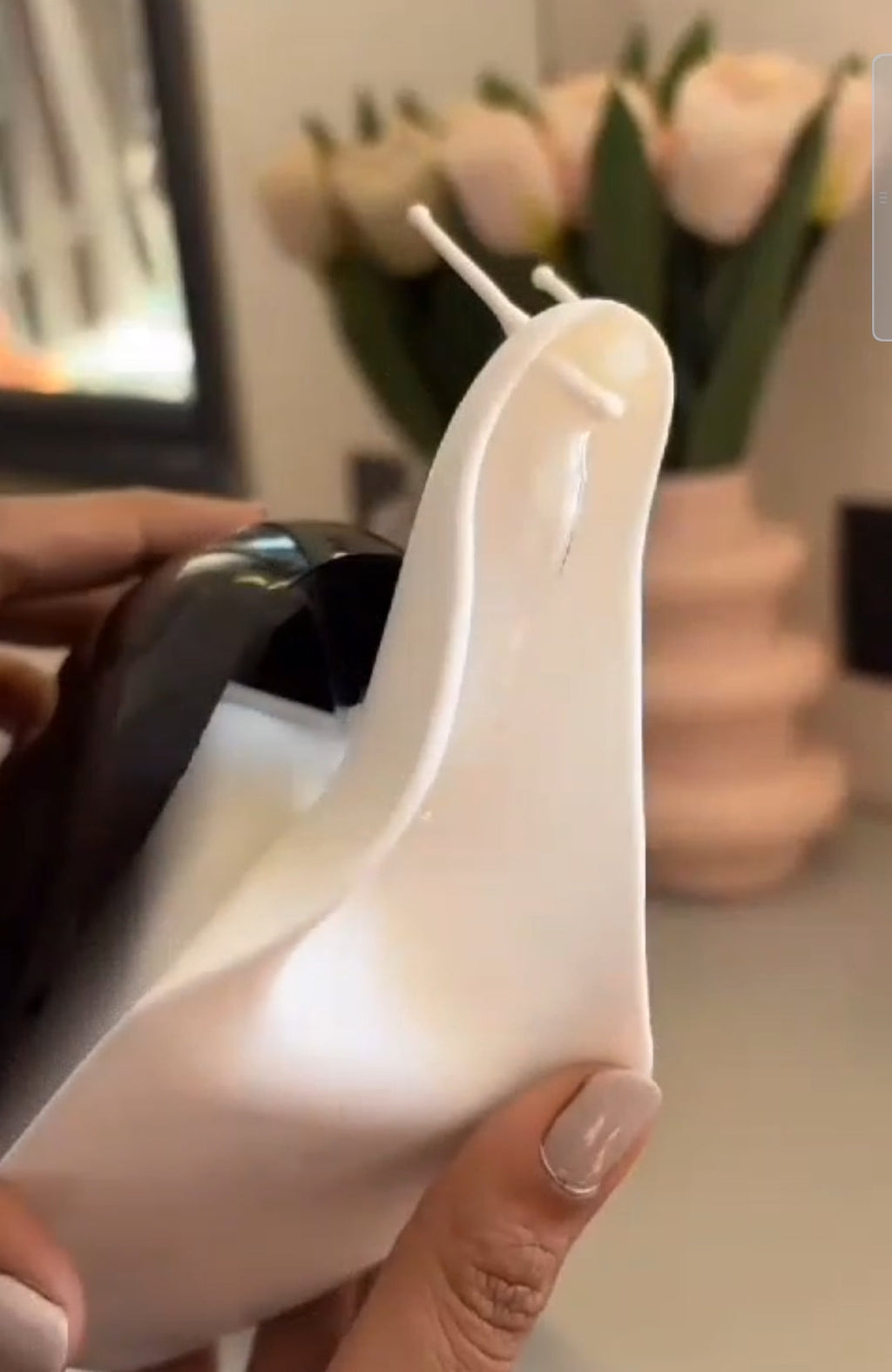 Soap dispenser